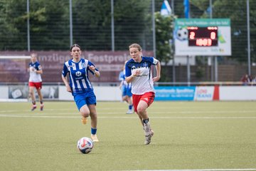 Bild 166 - wBJ Hamburger SV - FC Suederelbe : Ergebnis: 9:0